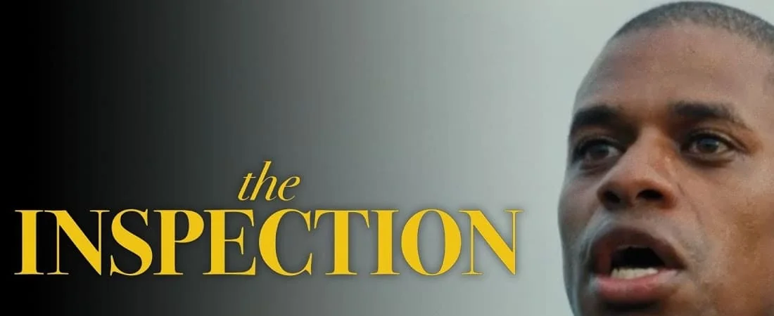 THE INSPECTION
